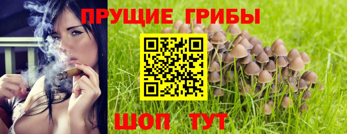 Псилоцибиновые грибы мухоморы  хочу   Элиста  Вход с VPN 