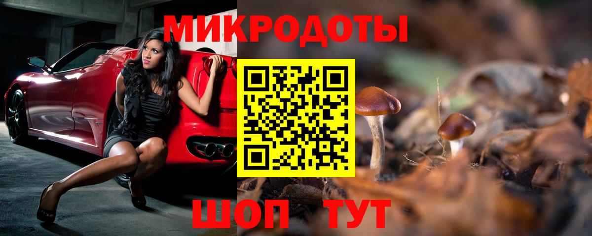 Псилоцибиновые грибы ЛСД Элиста