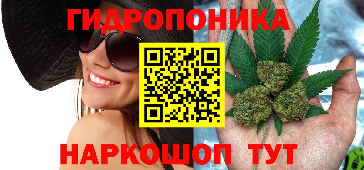 МАРИХУАНА сатива  Шишки марихуана конопля  Каннабис план  Вход с VPN  Элиста  Бошки Шишки индика 